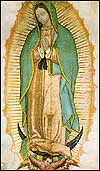 Blessed Virgin Mary - Our Lady of Guadalupe - Patroness of the Americas